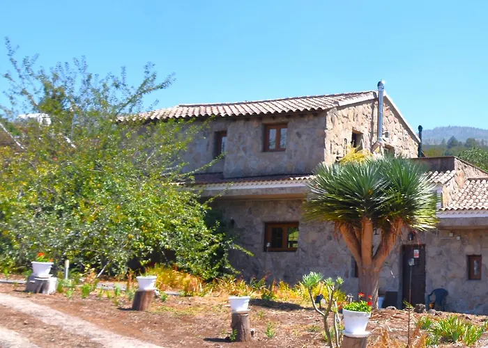 La Gustoza