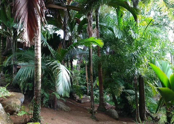 A Peace In Paradise