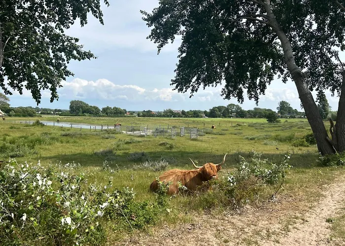 Zomerhuis Duinzicht