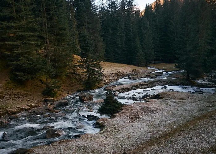 Stelza Nature Chalet
