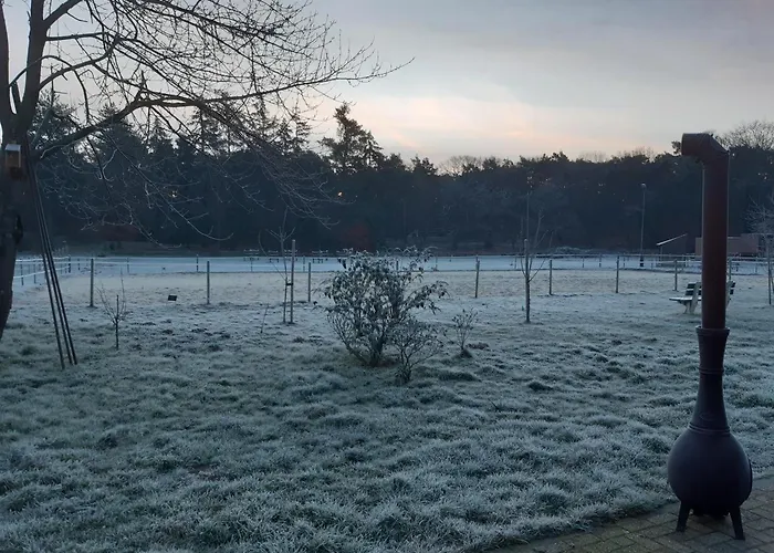 Natuurslaapkamer de zaadeest boskamer