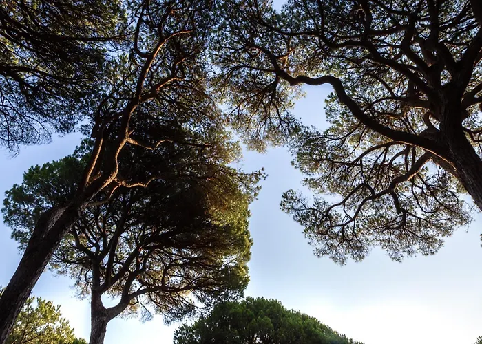 Campeggio: Camping Village Il Sole