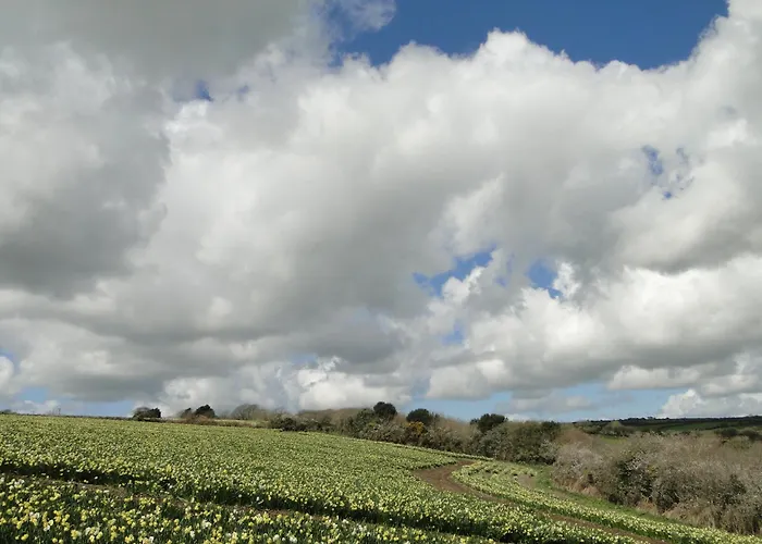 Private Double Room And Ensuite In Historic Cornish Cottage