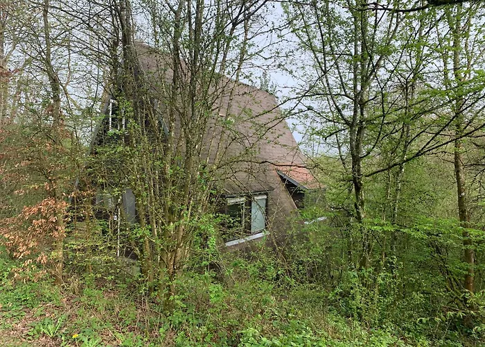 Heerlijk Vakantiehuis In Bos Bij Durbuy