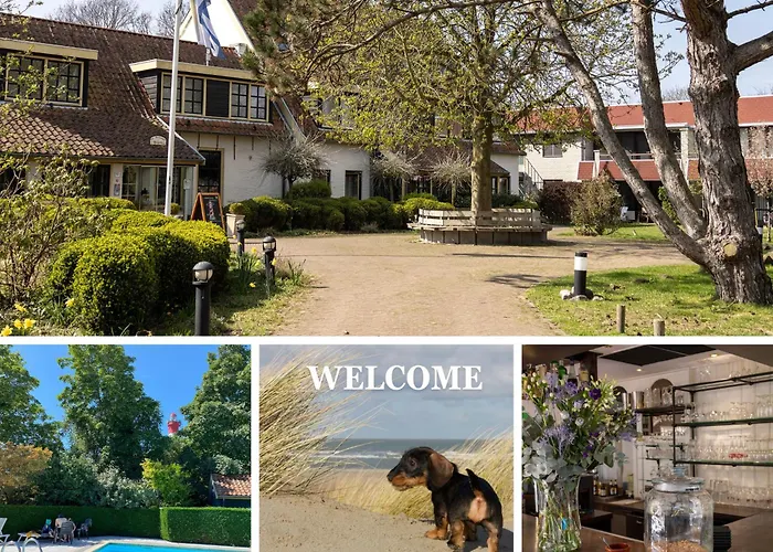 3 sterren hotel: Hotel De Torenhoeve