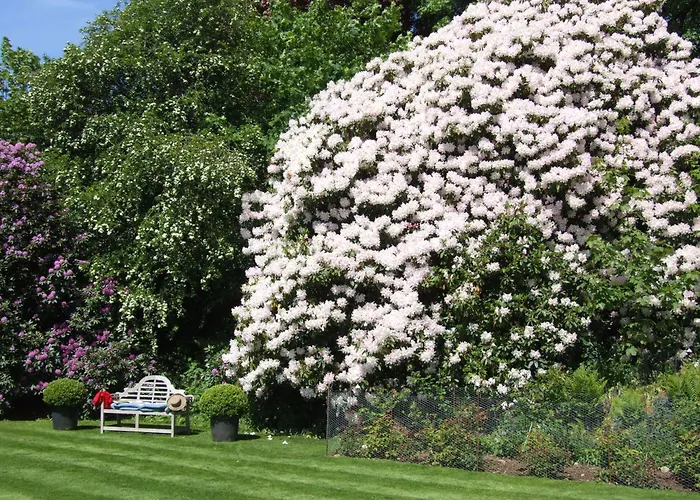 Kinloch House Hotel