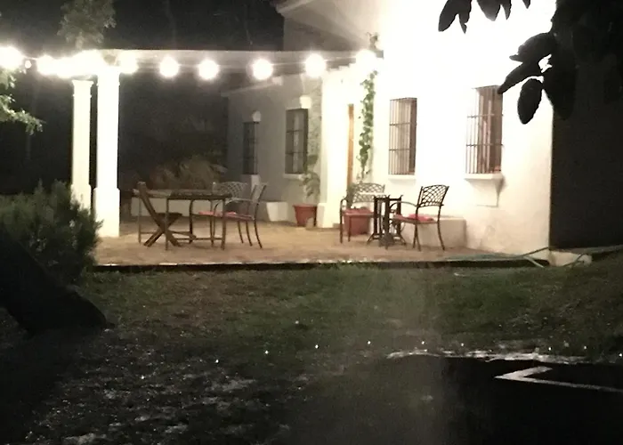 El Gato