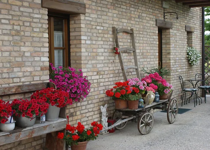 Agriturismo Albafiorita