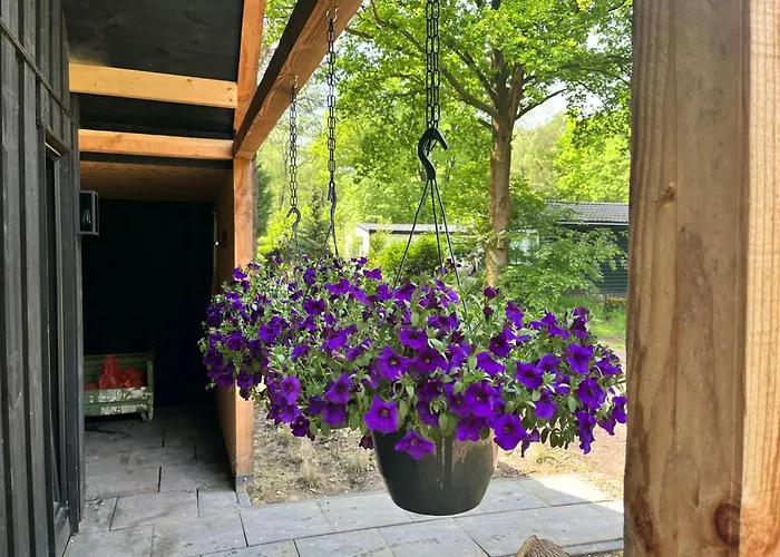 Wellness In The Woods - 4P Tinyhouse Met Prive Sauna & Hottub