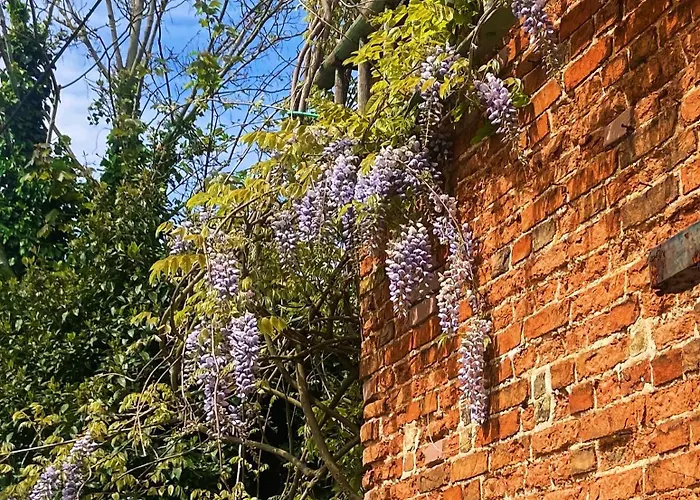 The Walnuts Country House