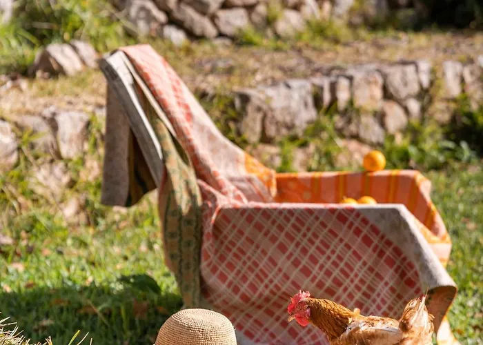 Agroturismo Son Viscos