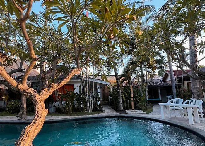 Coconut Dream