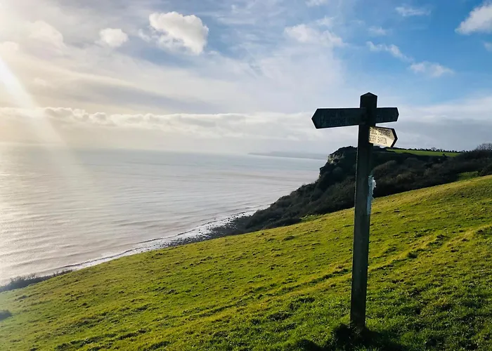 Escape Pod In Devon, 5 Mins From Beach + Parking
