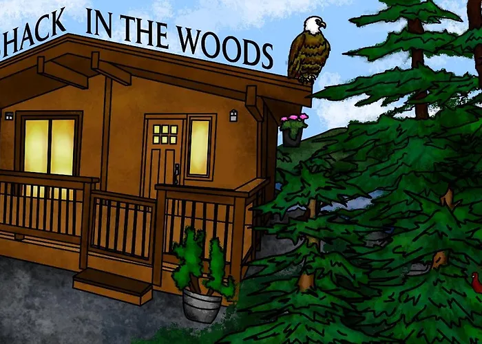 A Shack In The Woods