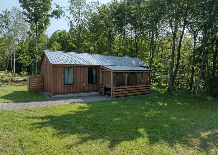 Vermont Scandinavian Chalet B