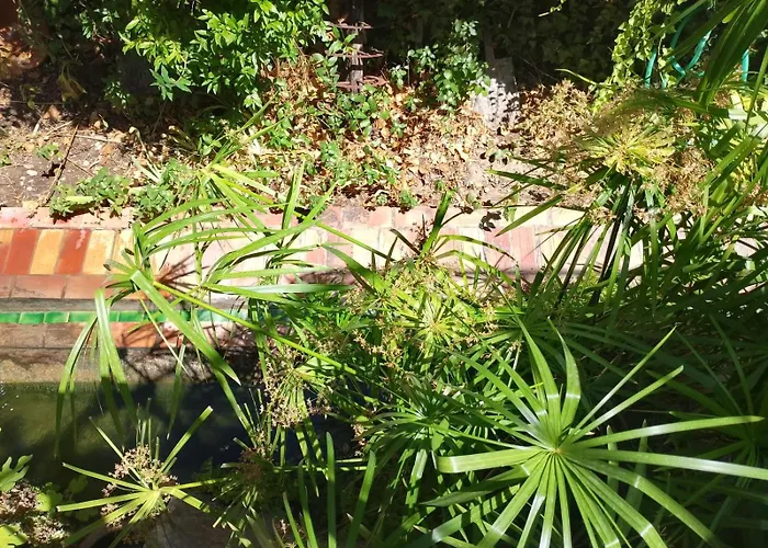 Casa Rural Plaza De Santa Maria