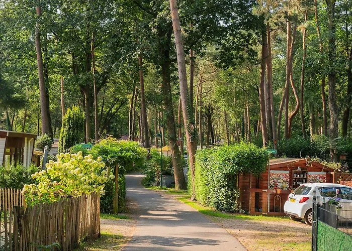 Forest Finest, luxe chalet met HOT TUB mooie overkapping en prachtige tuin met veel privacy