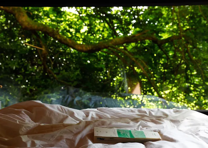 Digital Detox Cabin