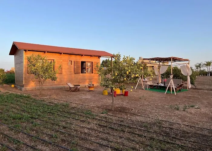 Countryside'S Tiny House