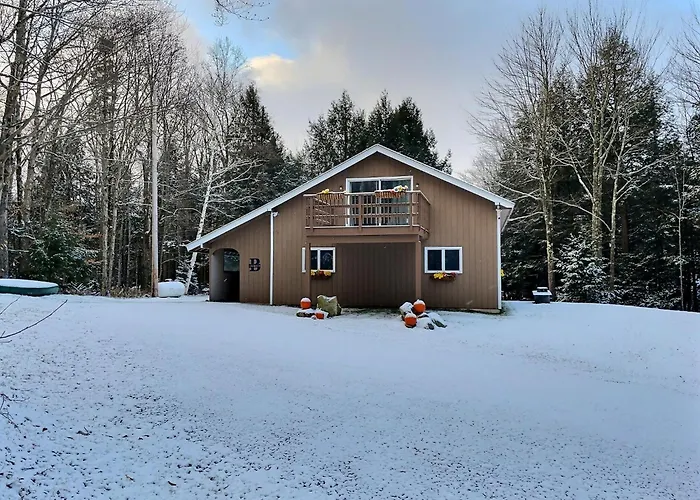 Bearvaria Ac, Hot Tub, Fire Pit Grill, Frisbeegolf