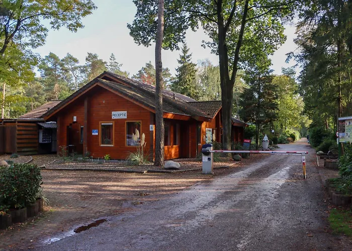 Tranquil Forest Chalet By A Pond In Veluwe, Sleeps 4