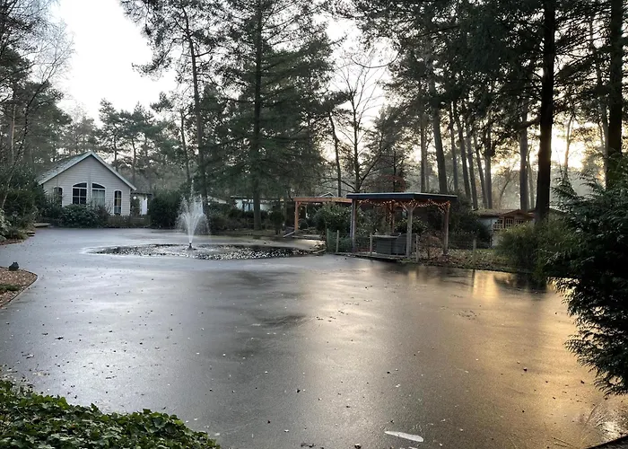 Tranquil Forest Chalet By A Pond In Veluwe, Sleeps 4