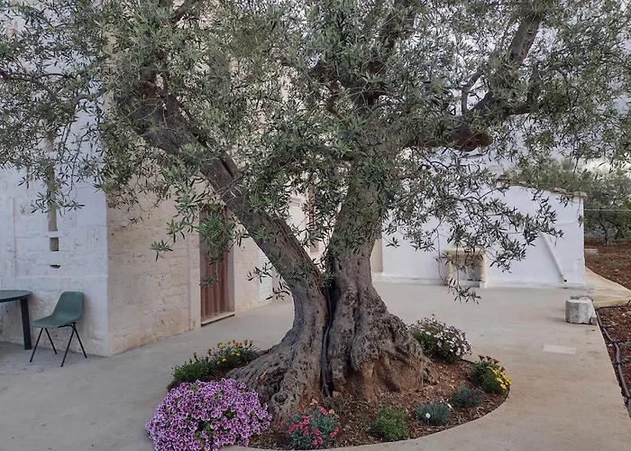 La casa di pietra location rosy
