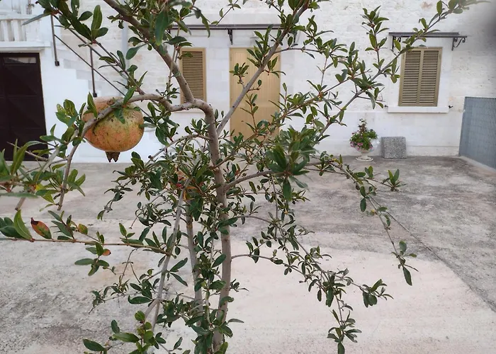 La casa di pietra location rosy