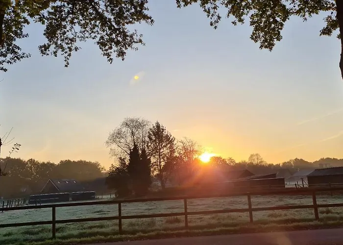 'Lodge de Vos' luxe en vrijstaande lodge bij het Speulder- en Spielderbos