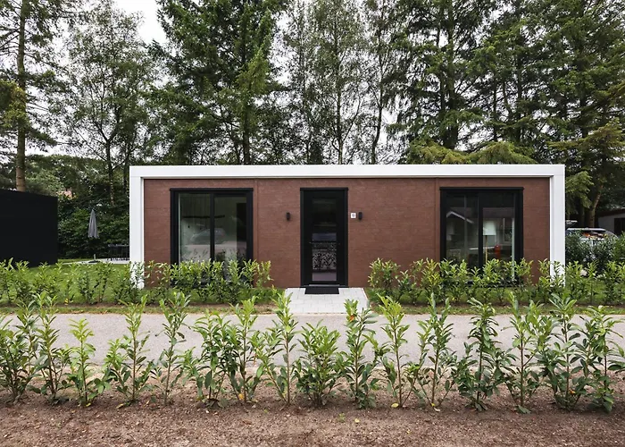Tiny House 'De Dennenhut'