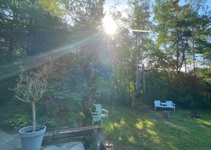 de Springop