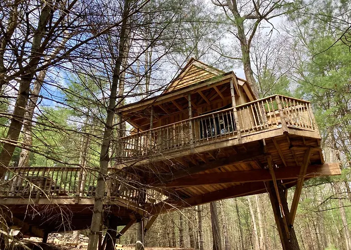 Little Birds Treehouse