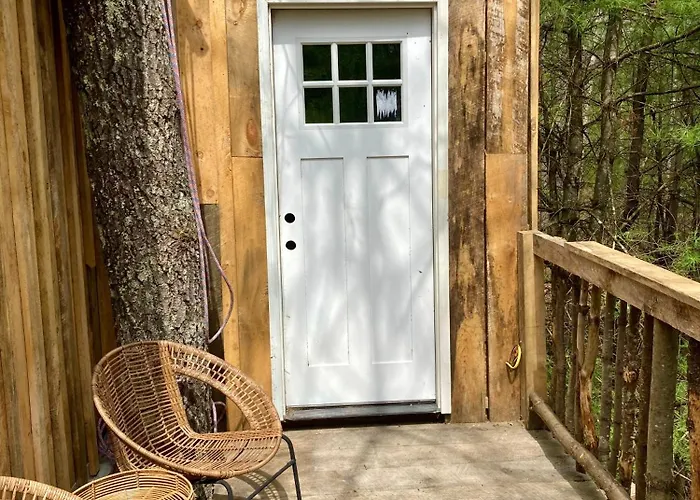 Little Birds Treehouse