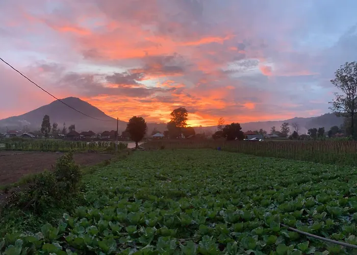 Alaya At Volcano
