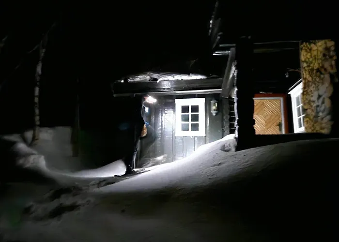 Chalet Skogshorn