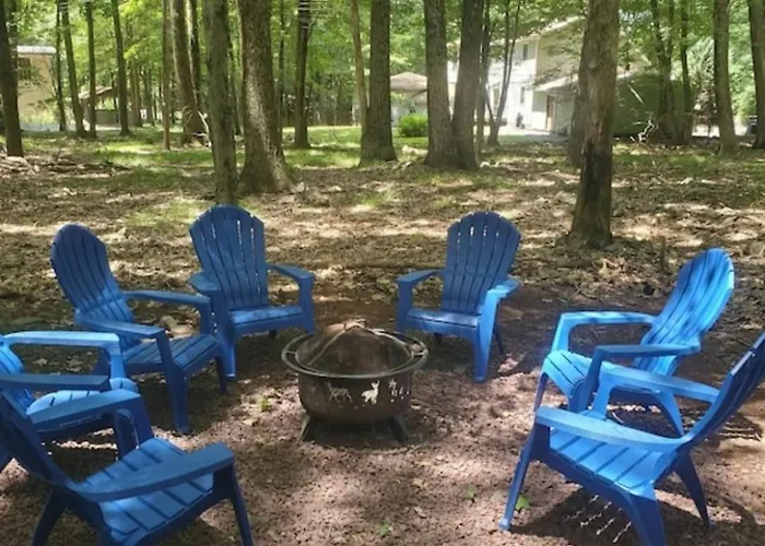 Harmony In The Woods