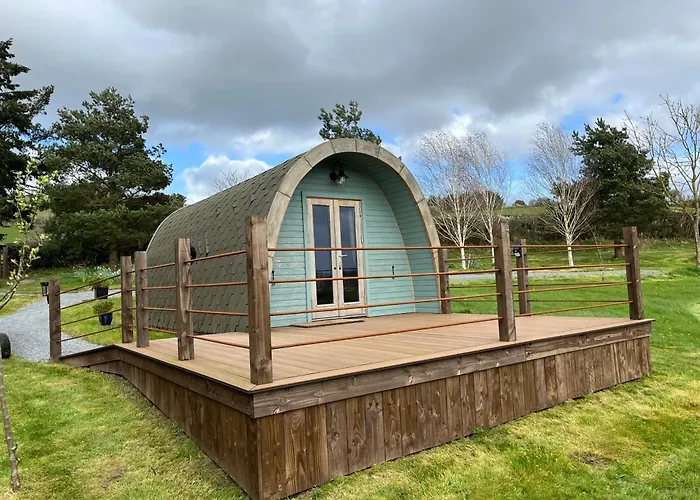 The Pod Patch - Trelerney Pod