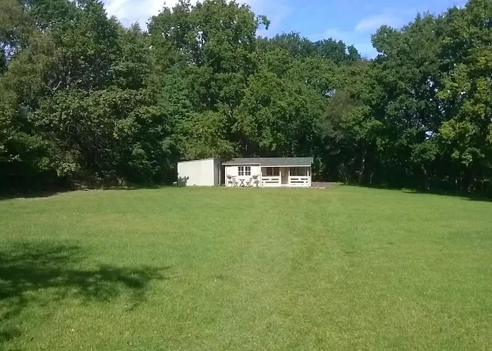 Family Friendly Sunny Log Cabin