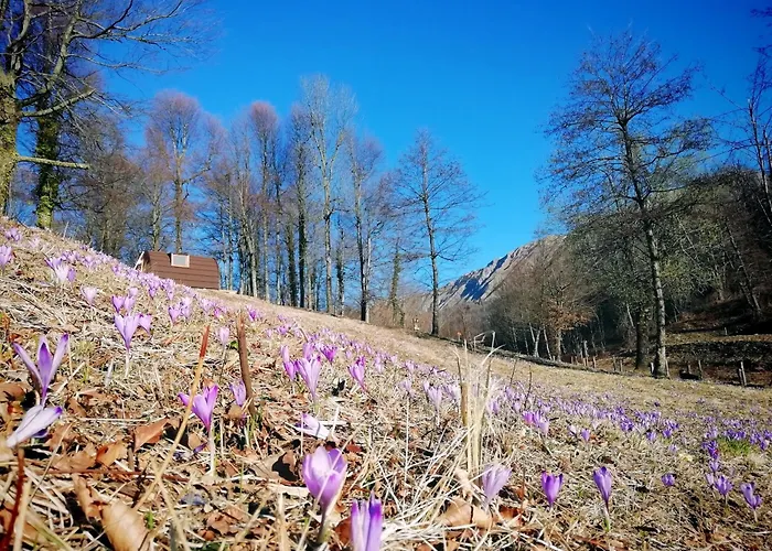 Baita Gran Monte