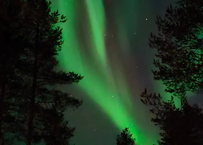 Vaehaereinari, Moekki Yllaeksellae