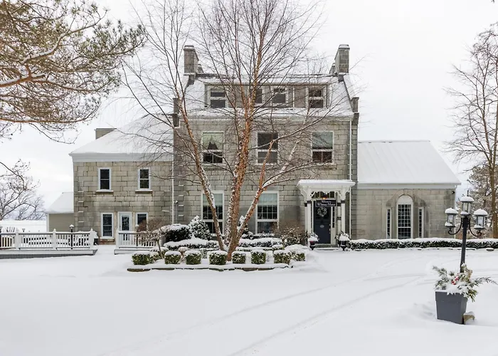 All Suites Whitney Manor