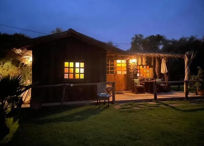Magnifique Chalet En Bois Colle A La Foret De Benslimane