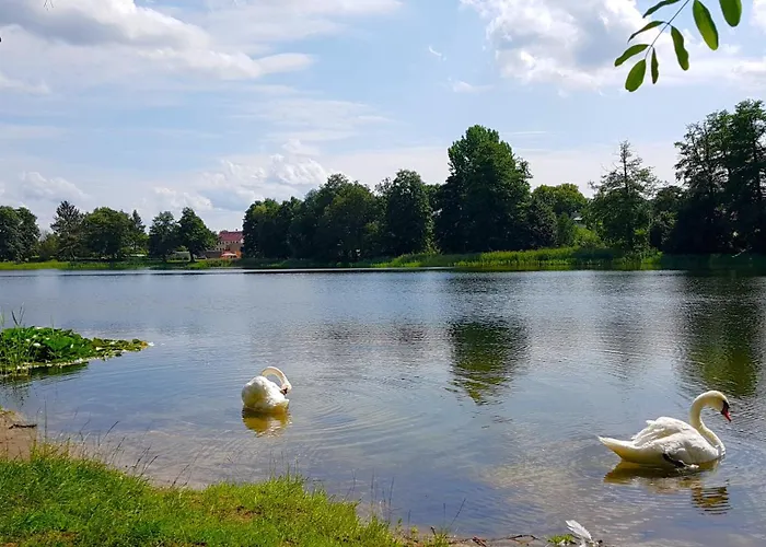 Urlaub Am Seddiner See