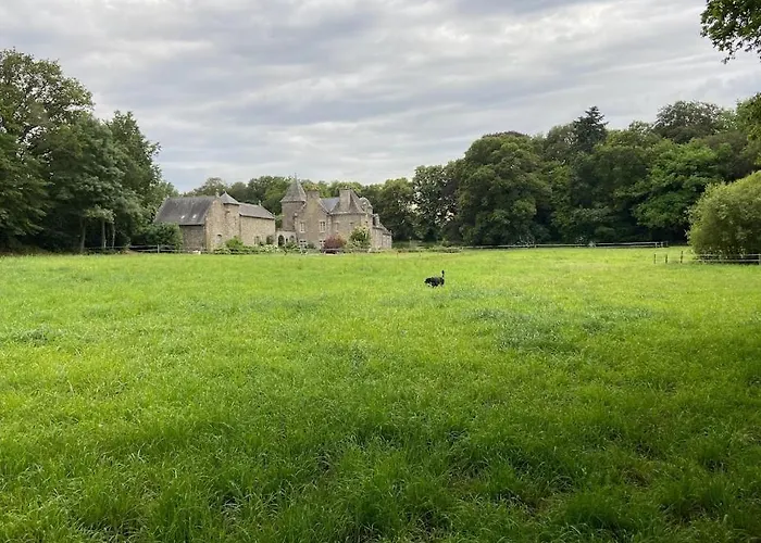 Chateau Ville Voisin