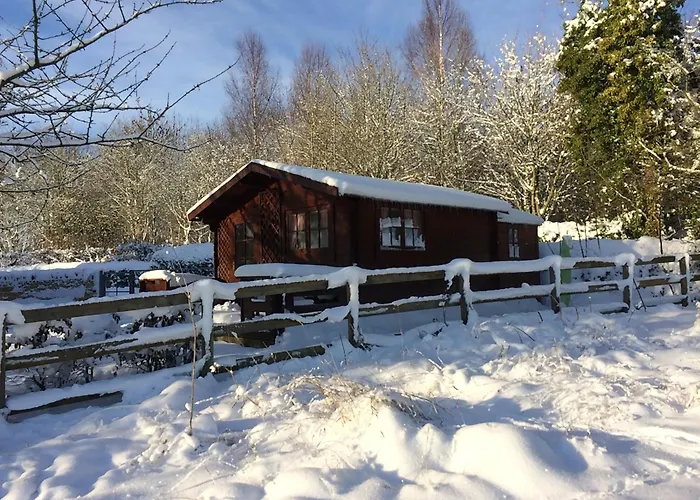 The Old Log Cabin