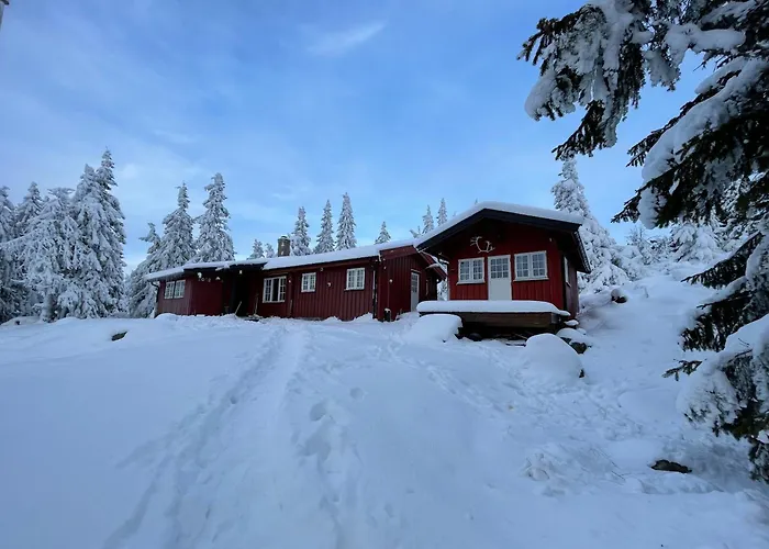 Buhaug - Cabin At Sjusjoen