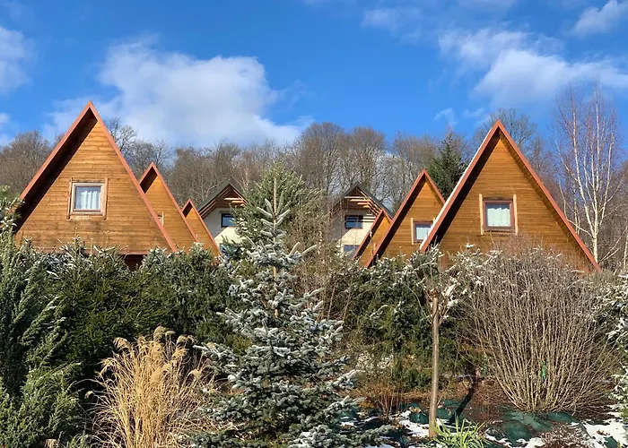 Domki Nad Solina Czarny Kot 509-797-777