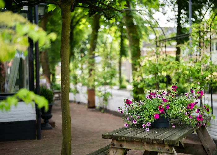 Golf hotel: 't Witte Hoes