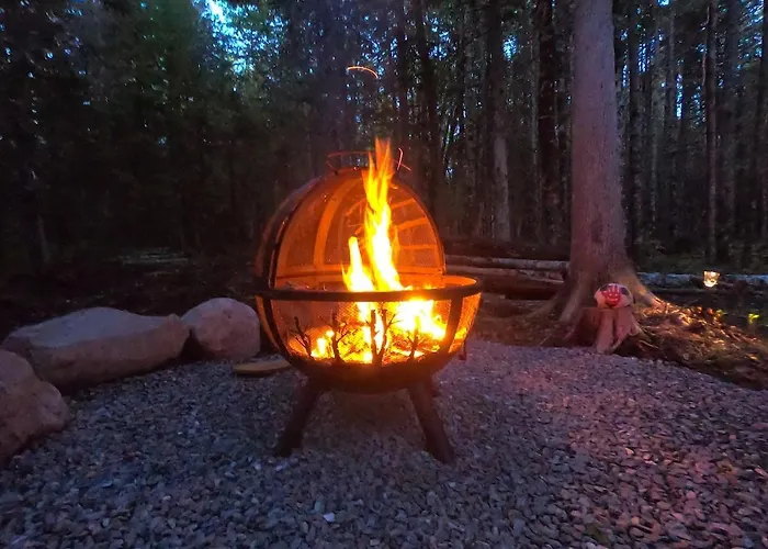 Acadia Forest Cabin