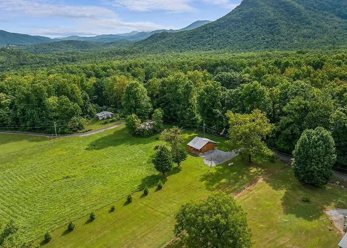 The Homestead